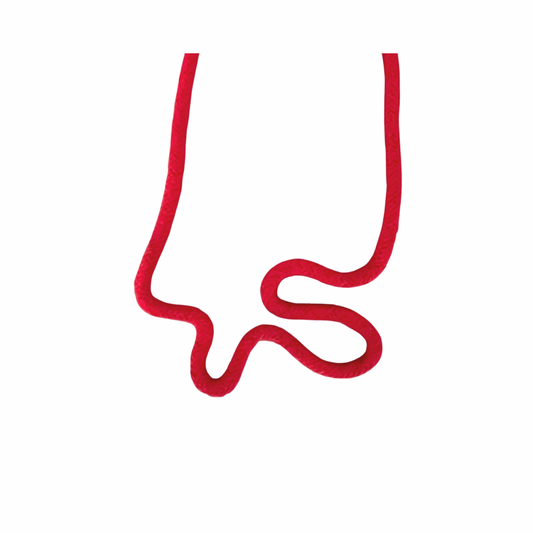 Cais do Sertao Red Necklace - Neena Jewellery