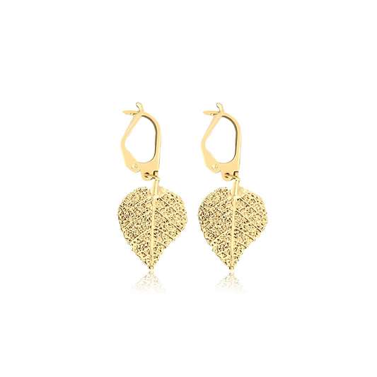 Savannah  Hoops Earrings - Neena Jewellery