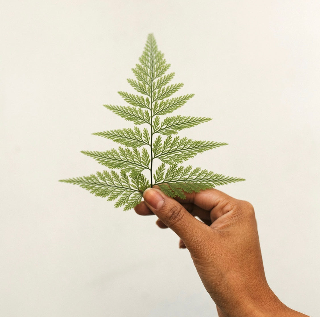 Fern Bracelet - Neena Jewellery