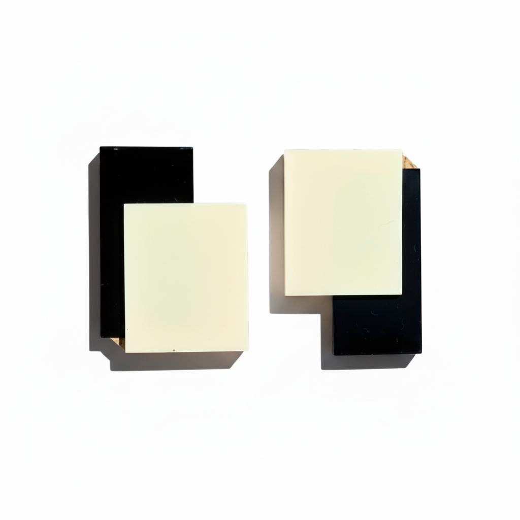 Mews Studs Black & White - Neena Jewellery 