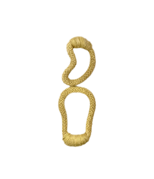 Caju  Earrings