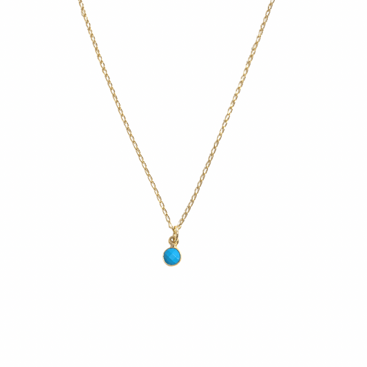 Turquoise Charm Necklace - Neena Jewellery 